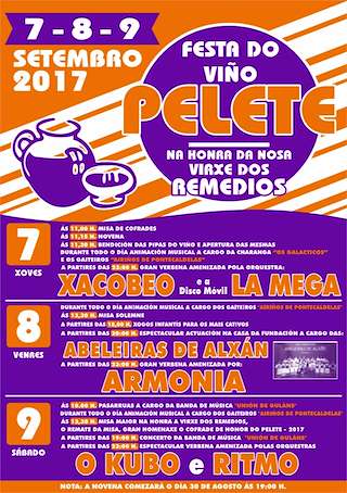 Fechas, información, programa, cartel, imágenes, mapa y ubicación de Festa do Viño do Pelete  en  A Lama