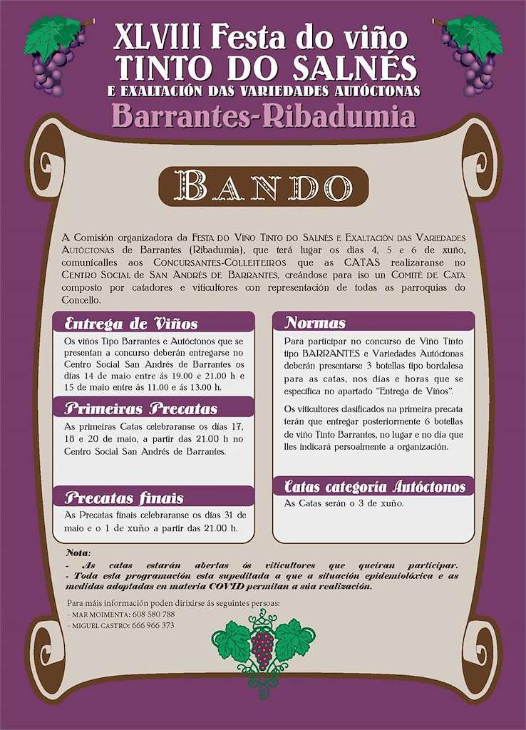 LI Festa do Viño Tinto do Salnés de Barrantes en Ribadumia