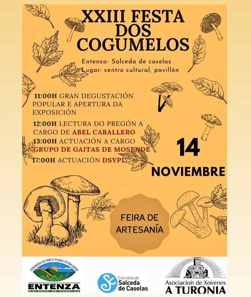 XXV Festa dos Cogumelos en Salceda de Caselas