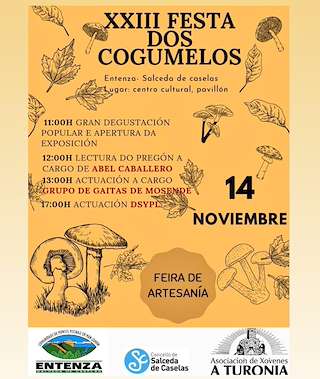 Fechas, información, programa, cartel, imágenes, mapa y ubicación de XXV Festa dos Cogumelos  en  Salceda de Caselas