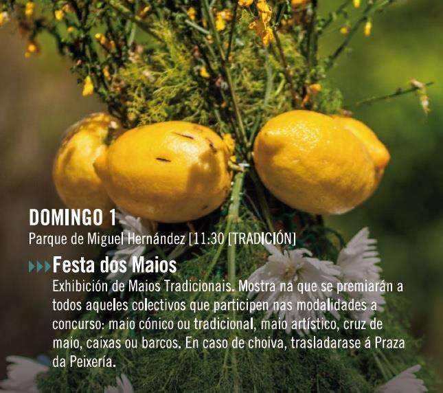 Festa dos Maios en Vilagarcía de Arousa