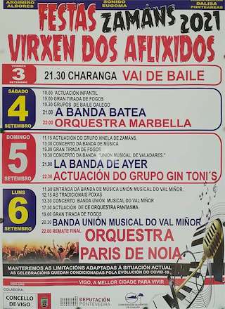 Fechas, información, programa, cartel, imágenes, mapa y ubicación de Festas de Zamáns - Virxe dos Aflixidos  en  Vigo