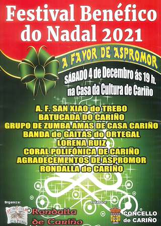 Fechas, información, programa, cartel, imágenes, mapa y ubicación de Festival Benéfico do Nadal  en  Cariño