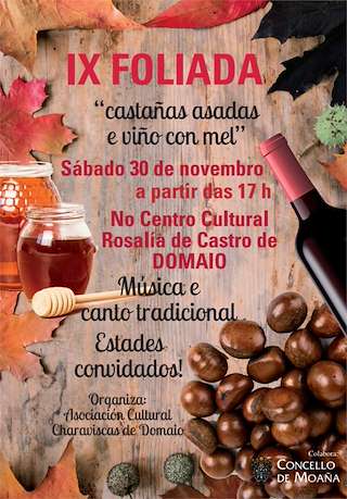 Fechas, información, programa, cartel, imágenes, mapa y ubicación de XI Foliada de Domaio  en  Moaña