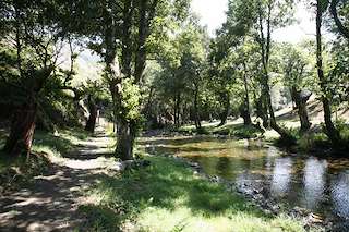Fraga de A Marronda