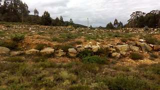 Henge de Roda
