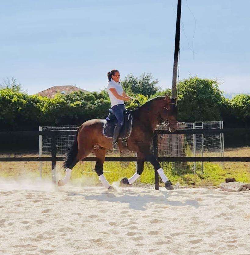 Hípica Faro das Lúas en Vilanova de Arousa