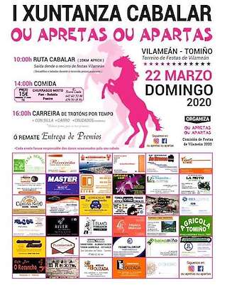 III Xuntanza Cabalar de Vilameán en Tomiño