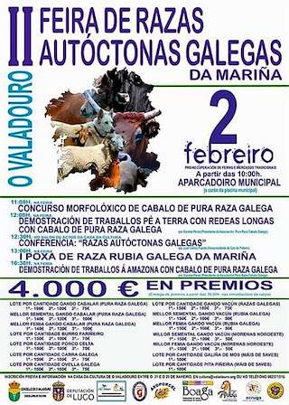 V Feira de Razas Autóctonas Galegas en O Valadouro