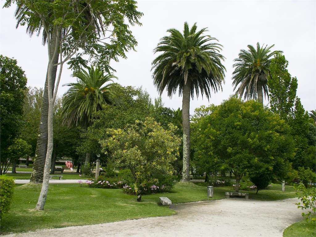 Illa de A Toxa en O Grove