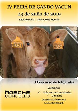 VI Feira de Gando Vacún en Moeche