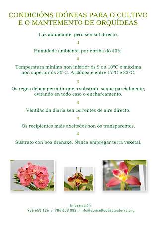 V Feira-Exposición Internacional de Orquídeas en Salvaterra do Miño