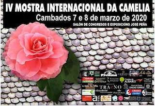 VII Mostra Internacional da Camelia en Cambados