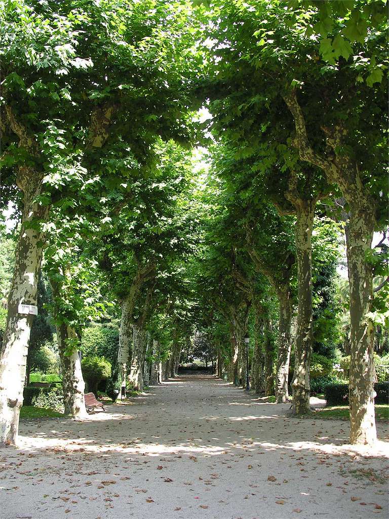 Jardín Botánico-Artístico de Padrón