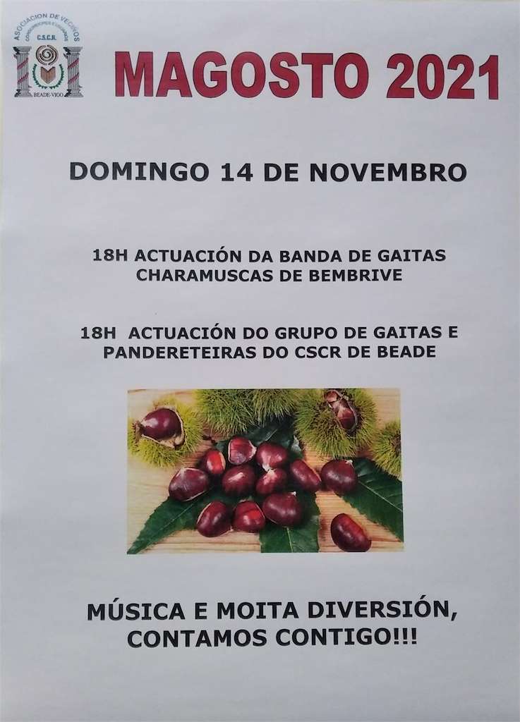 Magosto de Beade en Vigo