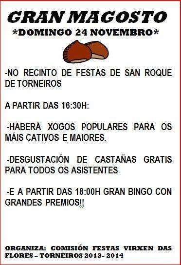 Magosto de Torneiros en O Porriño