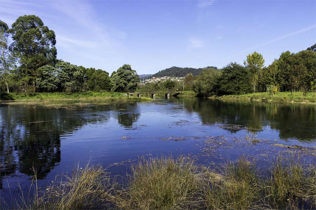 Marismas de A Xunqueira de Alba en Pontevedra