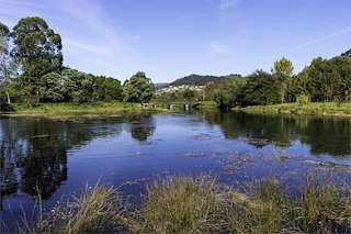 Fechas, información, programa, cartel, imágenes, mapa y ubicación de Marismas de A Xunqueira de Alba (2022)  en  Pontevedra