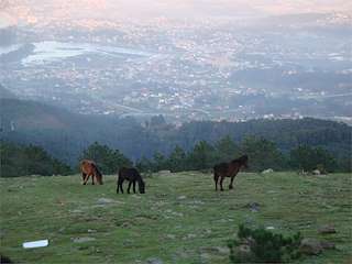 Mirador O Cortelliño