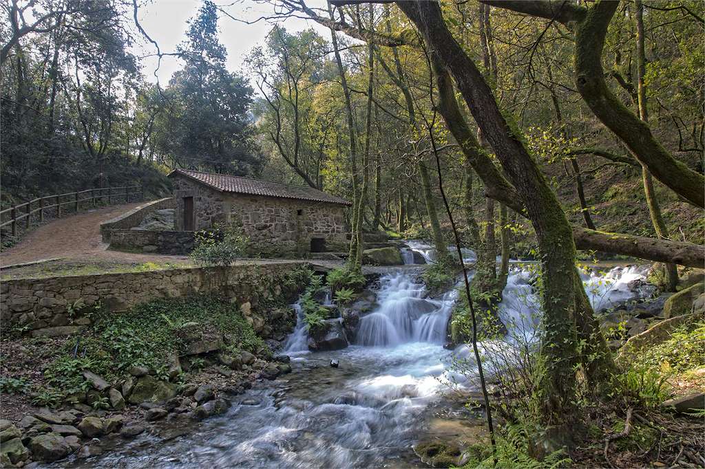 Molinos de Serén en Meis