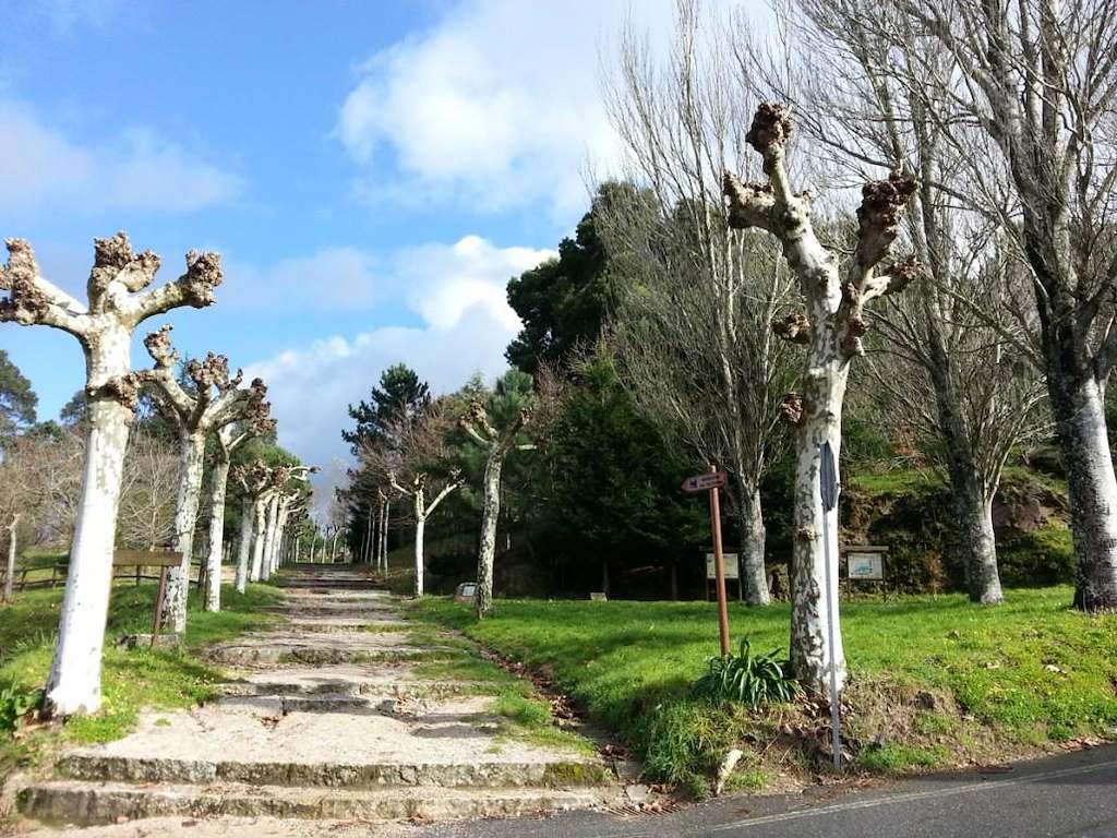 Monte A Pastora en Cambados