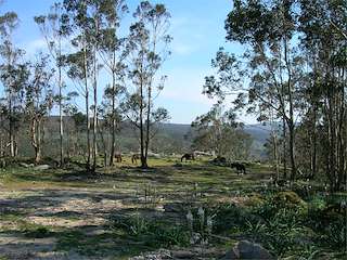 Monte da Groba