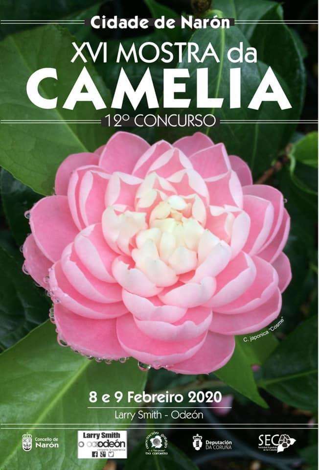 XVIII Mostra da Camelia en Narón