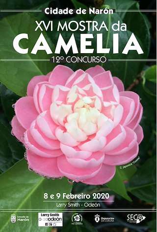 Fechas, información, programa, cartel, imágenes, mapa y ubicación de XVIII Mostra da Camelia  en  Narón