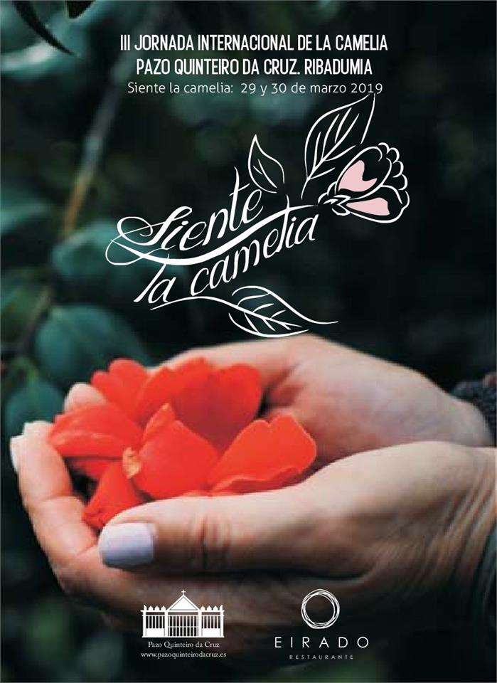 VI Mostra Internacional da Camelia en Ribadumia