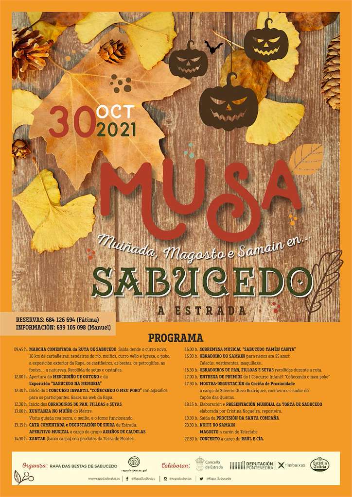 VIII MUSA de Sabucedo en A Estrada