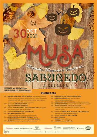 Fechas, información, programa, cartel, imágenes, mapa y ubicación de VIII MUSA de Sabucedo  en  A Estrada