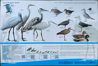 Observatorio de Aves Norte