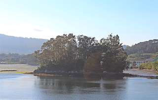 Paseo da Punta do Castelo