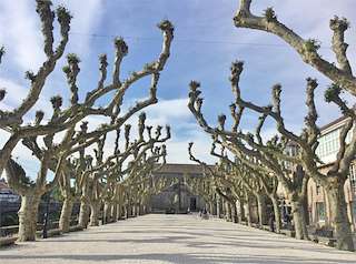 Paseo de O Espolón