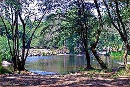 Paseo Fluvial de Carboeiro