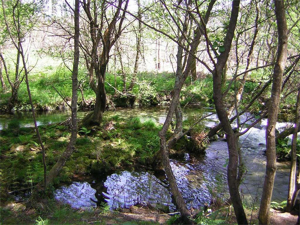 Paseo Fluvial del Río Té en Rianxo