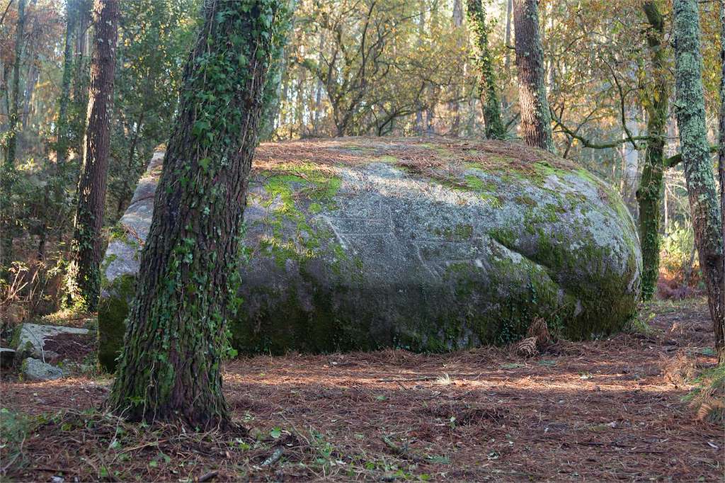 Petroglifo Pedra das Cabras en Ribeira