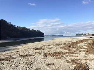Playa Alameda
