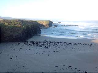 Playa As Illas