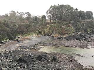 Playa Coido