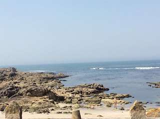 Playa Fedorento