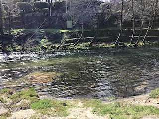 Playa Fluvial y Área Recreativa de Mondariz-Balneario