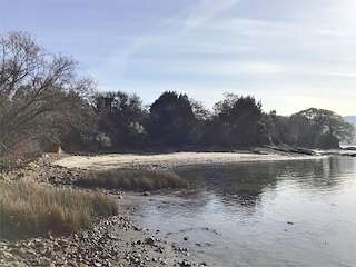 Playa Ladrido