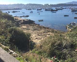 Playa Lagartiño