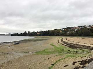 Playa O Regueiro