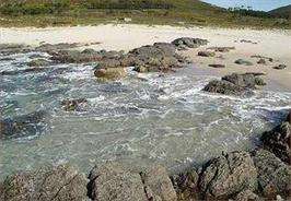 Playa Susiños