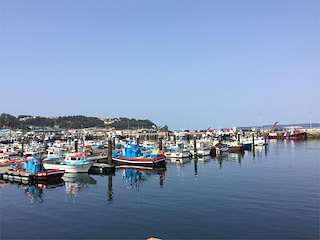 Porto de Bueu