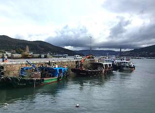 Porto de Domaio