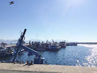 Porto de Moaña