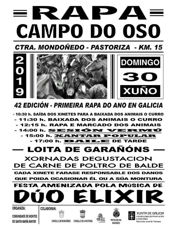 XLV Rapa das Bestas de Campo do Oso (2024) en Mondoñedo